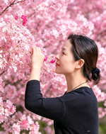 杨女士
